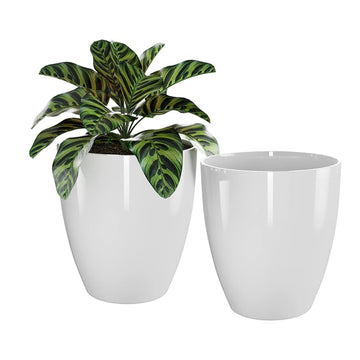 Plant Pot for Indoor and Outdoor Plants